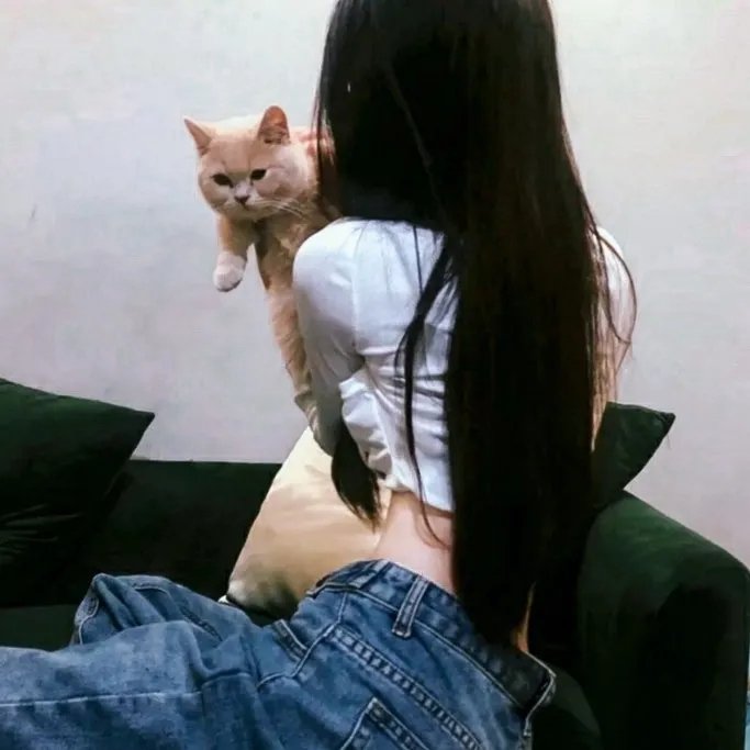 孟菲斯美女号